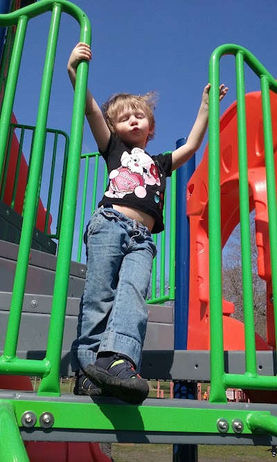 Photos of Hessel Park