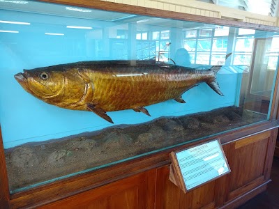 Photos of Guyana National Museum