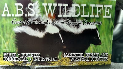 Photos of A.B.S. Wildlife Control