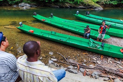 Photos of Ulu Temburong National Park