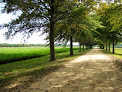 Historic Shirley