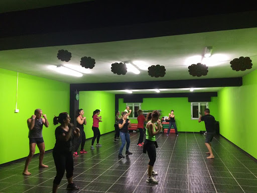 asd WELLNESS STUDIOS