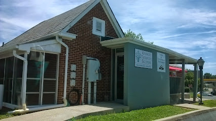 Hannah Schechter MA, LPC