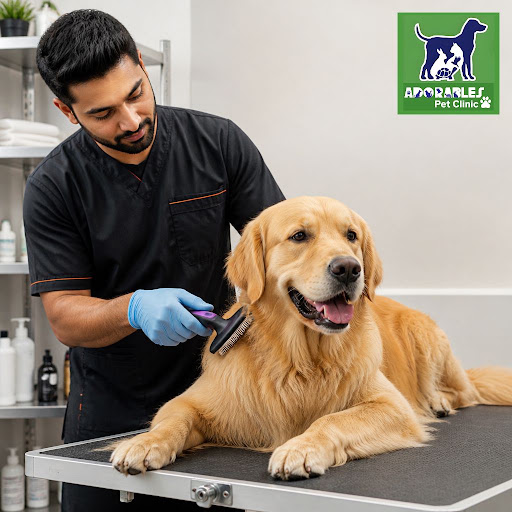 Regular grooming does much more than make your pet look cute. At Adorables Pet Clinic in Banjara… post image