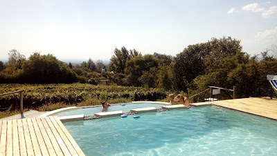 Photos of Hosteria Las Jarillas