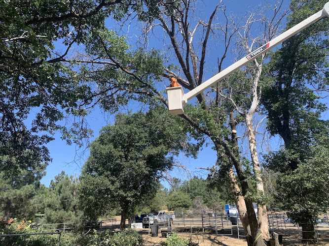 Pacific Slope Tree Company