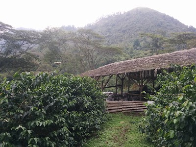 Photos of Coffee Adventures Boutique by La Palma y El Tucan