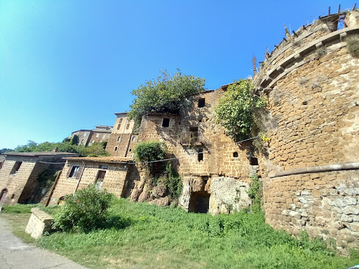 Vejano - Visual