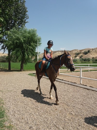 Akhal Teke Horse Center: Horse Riding Cappadocia
