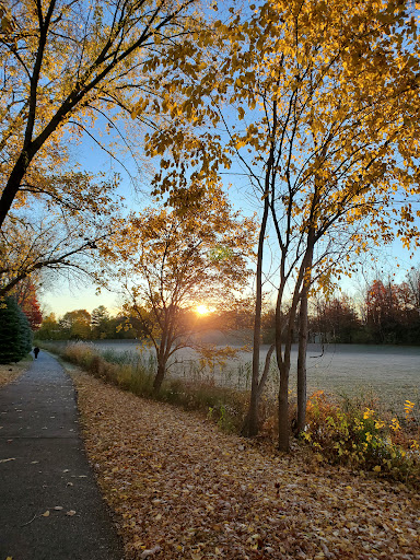 Boardman Park - Visual