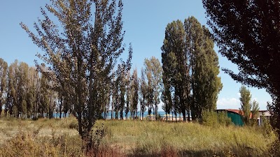 Photos of Pansionat "Solnechnyy Bereg"