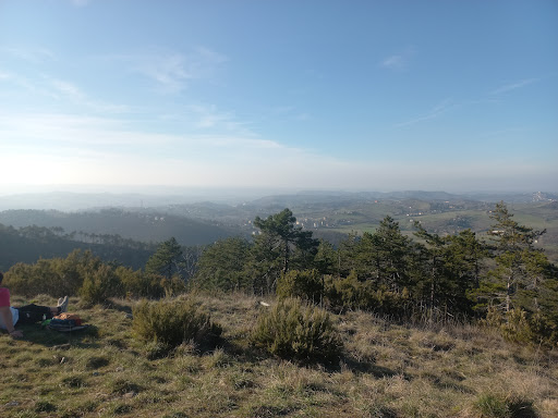 MORNESE - Visual