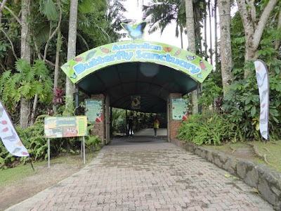 Photos of Australian Butterfly Sanctuary