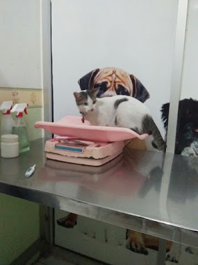 March Animal Clinic, Author: Siti May Munah