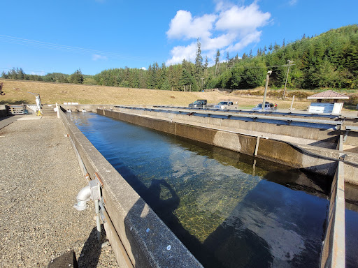 Lake Aberdeen Fish Hatchery - Thumbnail