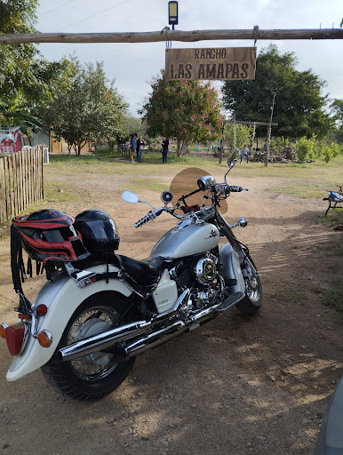 Las Amapas - Visual