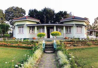 Photos of St.Clair's Tea Center