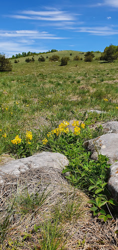 Хижа "Узана"