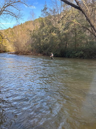 Chauga River Scenic Area Gallery - United States