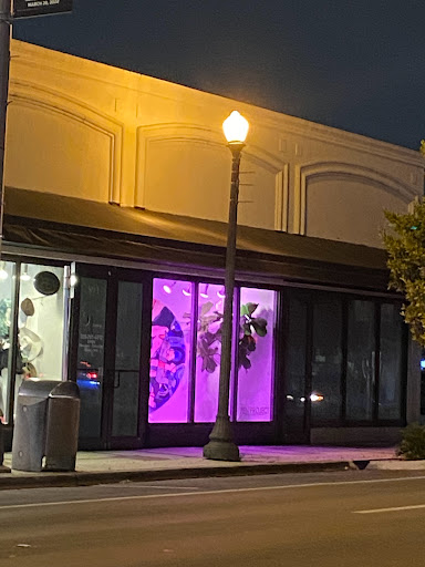 Pen Project - Visual