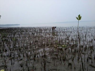 Photos of Bakung Island