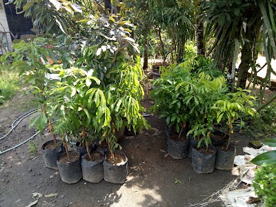 Photos of Bamsbreeder