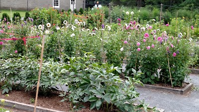 Photos of Eleanor Roosevelt Center-Val-Kill