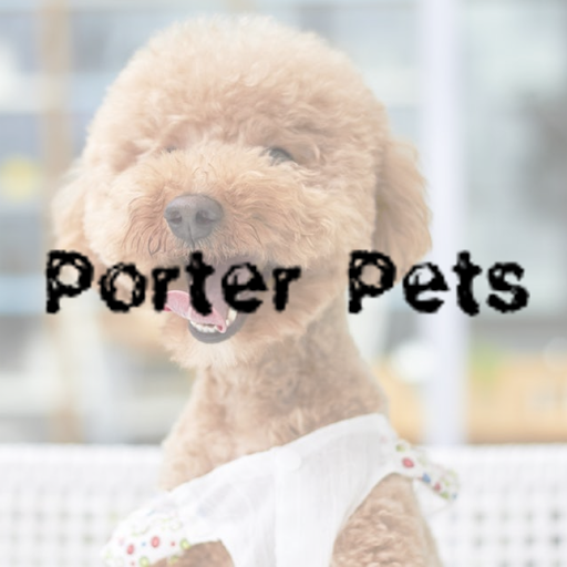 Porter Pets - Visual
