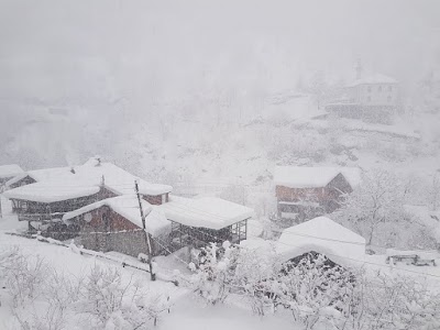 Photos of Bor&ccedil;ka Dere Pansiyon