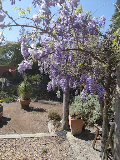 Sandra's Garden - Thumbnail