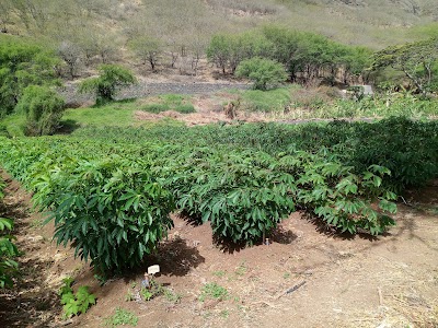 Photos of Barragem de Poil&atilde;o