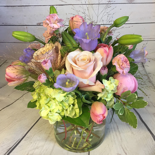 Full Bloom - Thumbnail