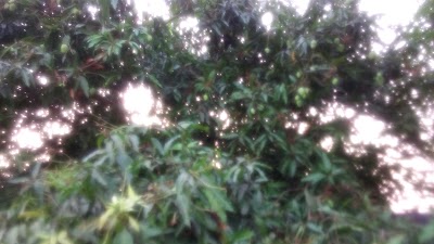 Photos of ນາ ທ້າວສິນ