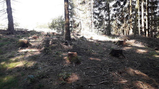 Wichtelpfad - Visual
