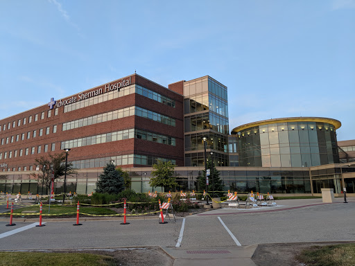 Advocate Sherman Hospital Gallery - United States