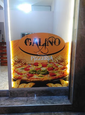 GALINO pizzas, Author: Liliana Gutierrez