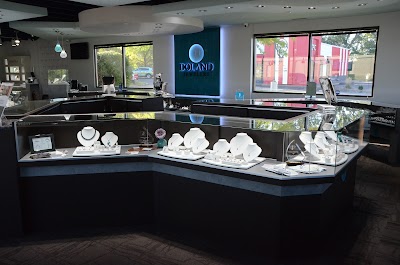 Doland Jewelers Inc