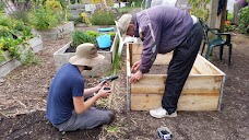 The Golden Hill Community Garden bristol