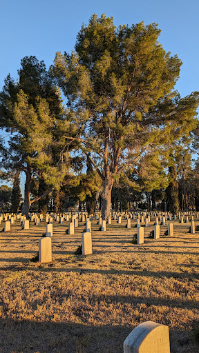 Tucson Cemetery Association - Thumbnail