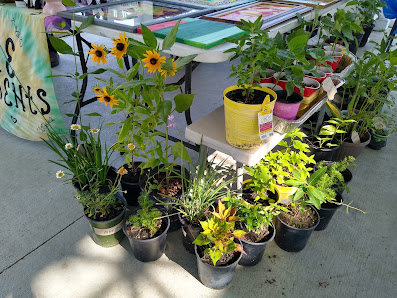Suffolk VA Farmers' Market - Suffolk, Virginia