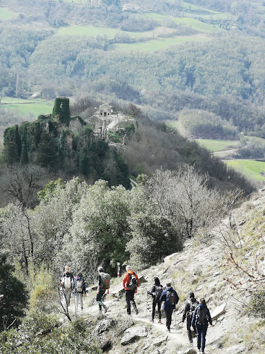 Chiesa di S. Andrea Castel del Rio (Bo) - Thumbnail
