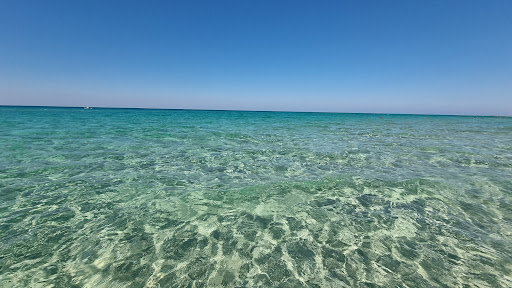 Astor Beach - Visual