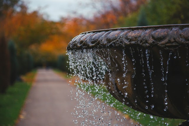 Regent's Park