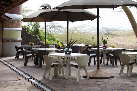 Hatari Lodge (Inside Arusha National Park) by null