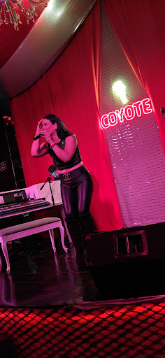 A MI MANERA - SHOW CENTER PUEBLA - Thumbnail