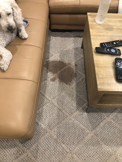 Photos of Myer Carpet Cleaning