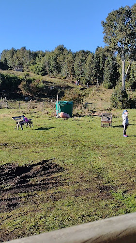 Turismo aventura Los Robles de Puyán