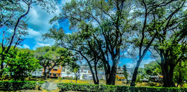Loja