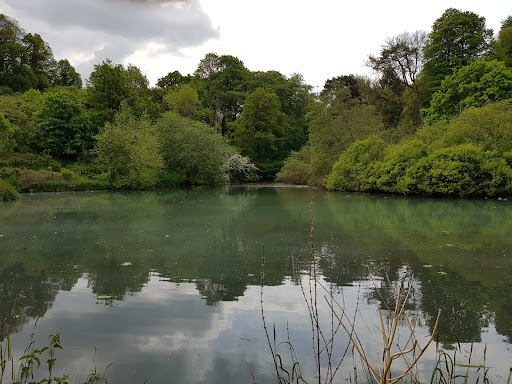 Ninesprings Lake