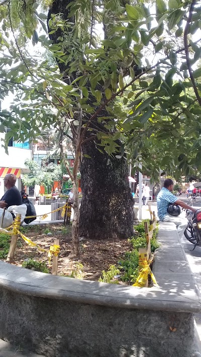 Photos of Parque Fernando Arango